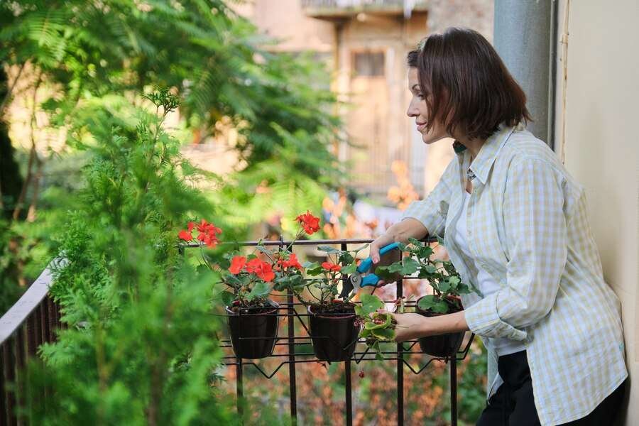 Balcony Gardening Tips