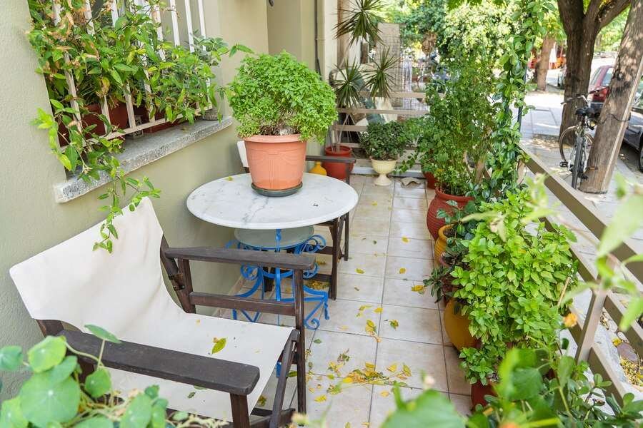 Balcony Gardening Tips