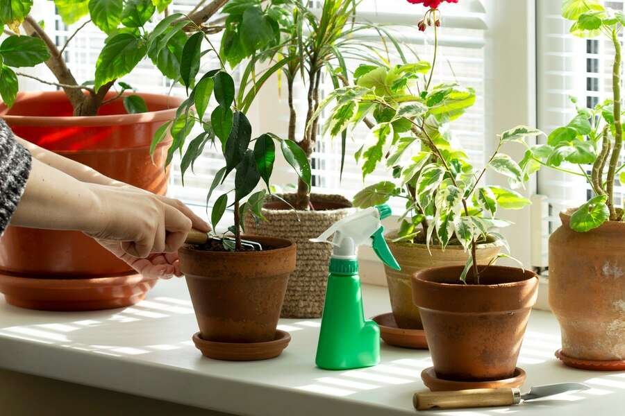 Gardening at home depot