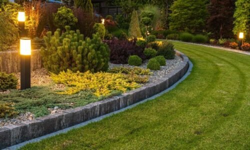 Garden Edging Ideas