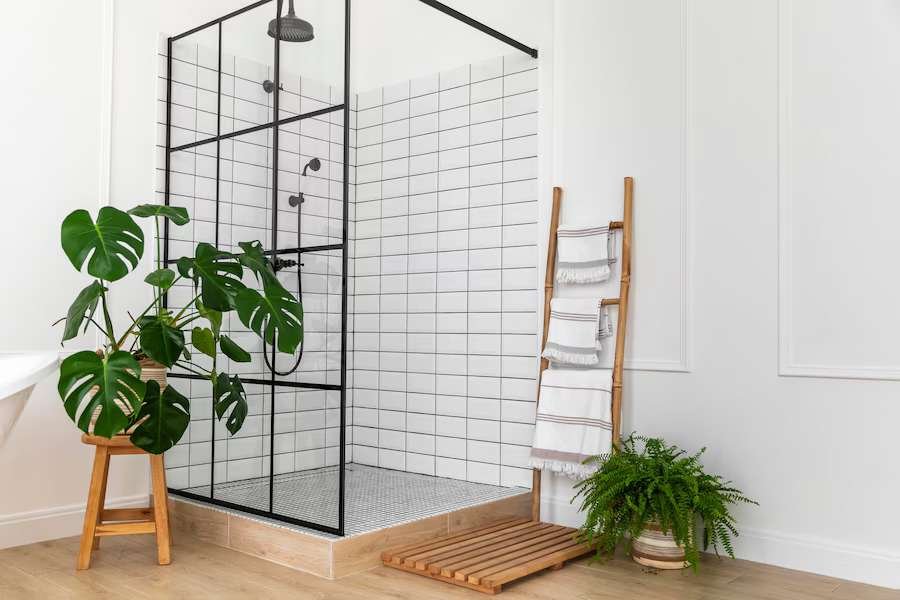 Plants for Bathroom