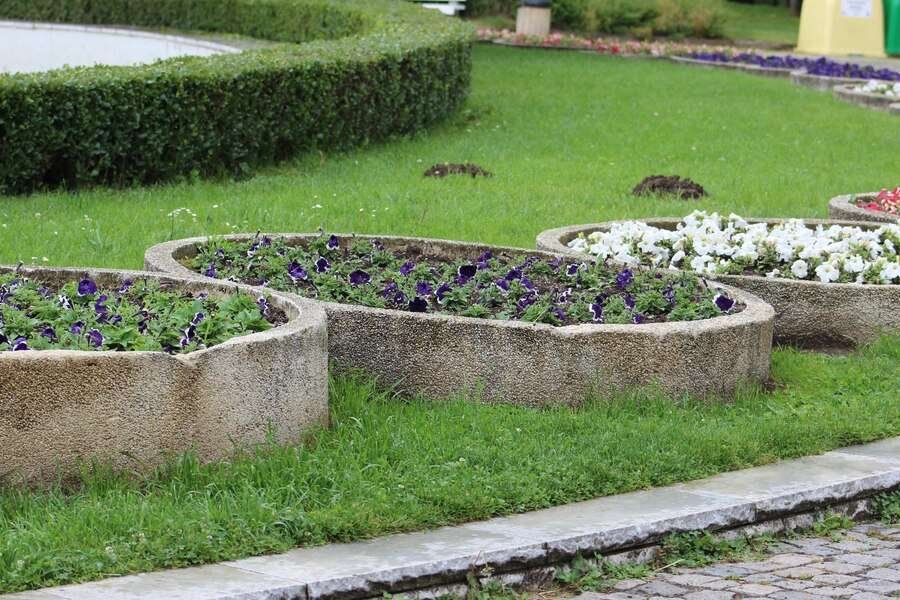 Garden Edging Ideas